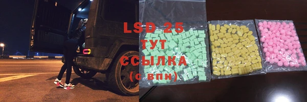 индика Володарск