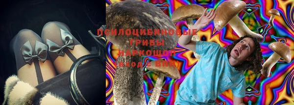 apvp Верхний Тагил