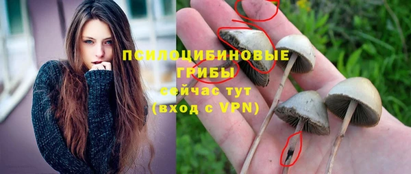 apvp Верхний Тагил