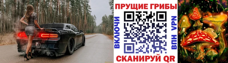дарнет шоп  Королёв  Галлюциногенные грибы Psilocybe 